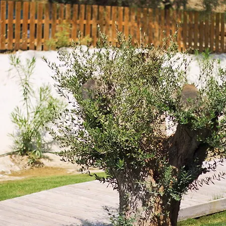 Aqua Bay Family 1st Floor فندق تسيليفي